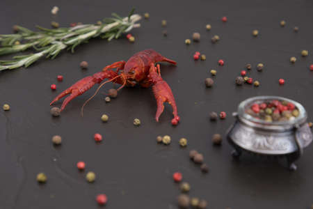 Delicious boiled crayfish close-up, with pepper, lemon and parsley. free space for your text. Dark backgroundの写真素材