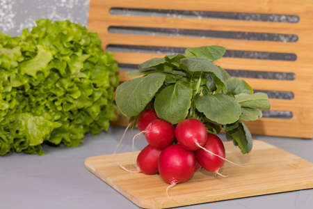 Salad and Radishes, on brown wooden desk and gray background.の写真素材