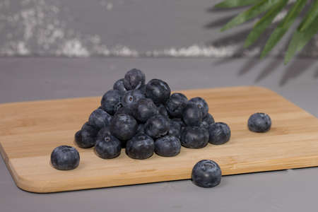 Composition from a fresh bow blueberry.の写真素材