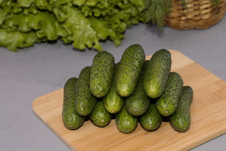 Fresh cucumbers with green salad, on wooden desk.の写真素材