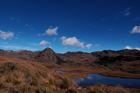 Wild nature skyの写真素材