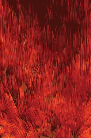 Feather a background. Similar images can be found in my galleryの写真素材