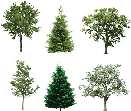 The isolated tree. Similar images can be found in my gallery.

の写真素材