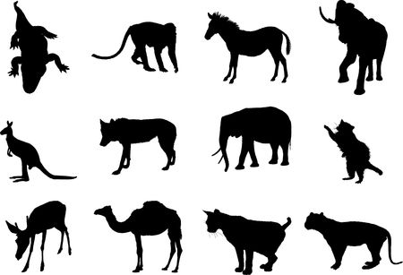 Animals. Set of 12 round vector buttons for web
の写真素材
