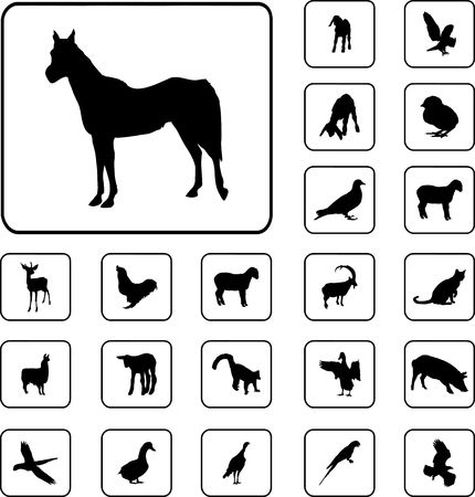 Animals. Set of 22 round buttons for web
の写真素材