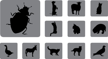 Animals. の写真素材