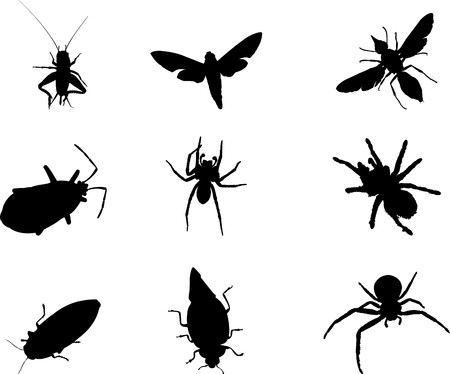 Animals. Set of 9 round vector buttons for web
の写真素材