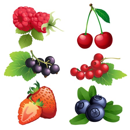 Vector Illustration Icon of Ripe strawberry, raspberry, cherry, blackberry, black and red currant, blueberry with leavesのイラスト素材
