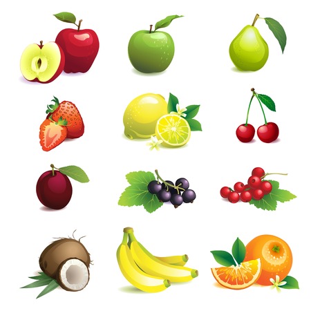 Vector Illustration of  Set of different fruits with leaves and flowersのイラスト素材