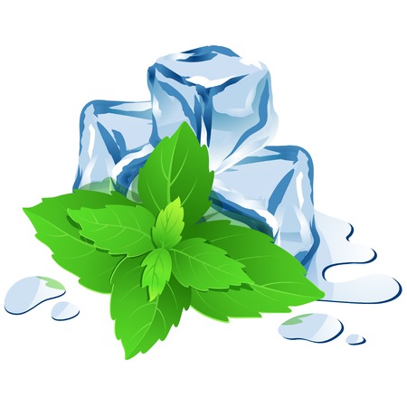 Vector Illustration Icon of Ice cubes with mint isolated on whiteのイラスト素材