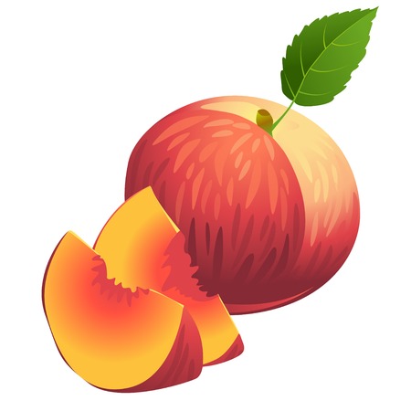 Vector Illustration Icon of Ripe summer peach with two slices and green leafのイラスト素材