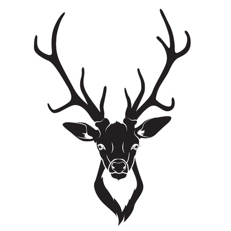 Vector ullustration of Deer head isolatedのイラスト素材