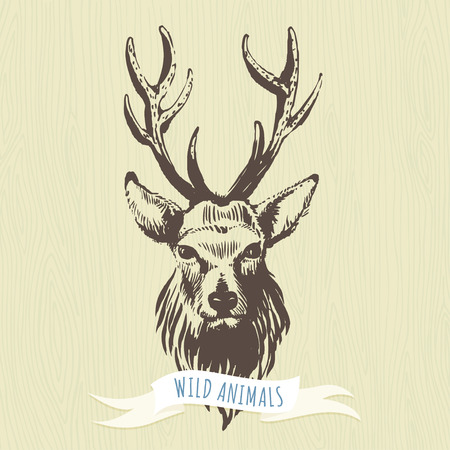 Vector illustration Marker hand-drawn forest animals: deerのイラスト素材