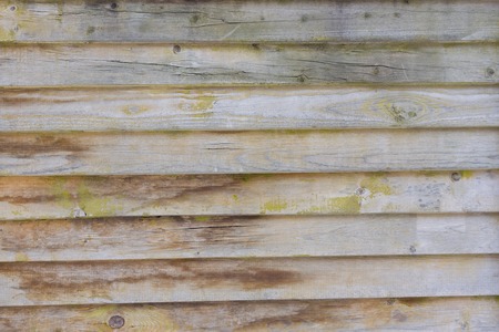 Photo of  grunge wood texture with horizontal stripesの写真素材