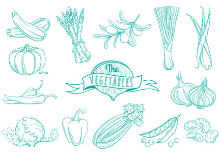Vector illustration Outline hand drawn vegetable set (flat style, thin  line)のイラスト素材