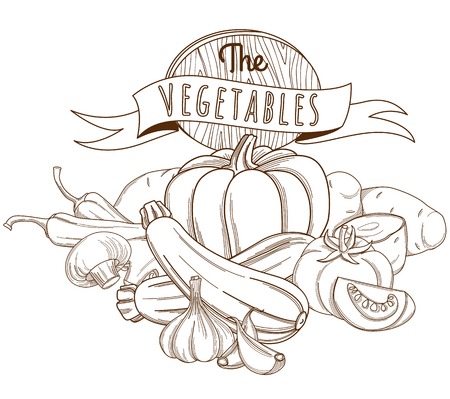 Vector illustration Outline hand drawn sketch vegetable still life flat style, thin  lineのイラスト素材