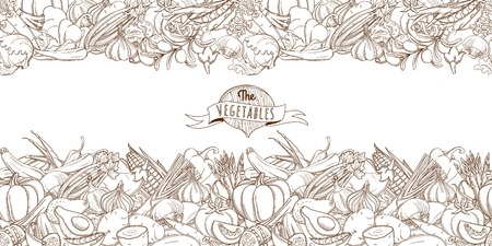 Vector illustration Outline hand drawn sketch seamless vegetable border flat style, thin  lineのイラスト素材