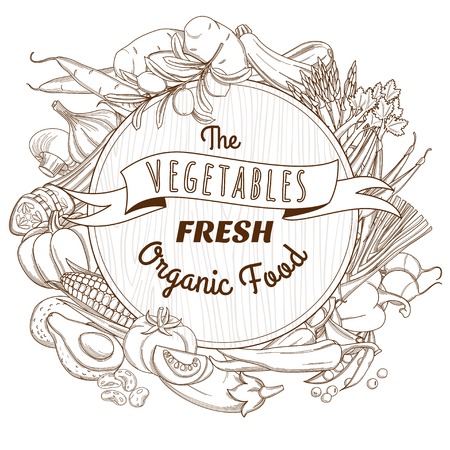 Vector illustration Outline hand drawn sketch vegetable wooden frame flat style, thin  lineのイラスト素材