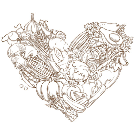 Vector illustration Outline hand drawn sketch of vegetable heart flat style, thin  lineのイラスト素材