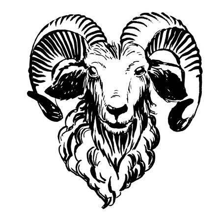 Vector illustration Marker hand-drawn farm animals: ram (sheep).のイラスト素材
