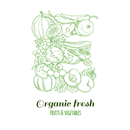 Letter E pattern logo of groceries organic farm fresh fruits and vegetables. Vector illustration logotype. Outline line flat style design. White backdrop.のイラスト素材