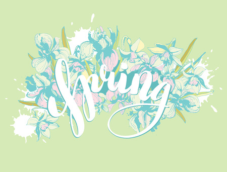 Beautiful hand written lettering calligraphy inscription Spring with hand drawn floral background flowers iris and narcissus. Vector grunge illustration for flyer, banner, t-shirt print etc.のイラスト素材