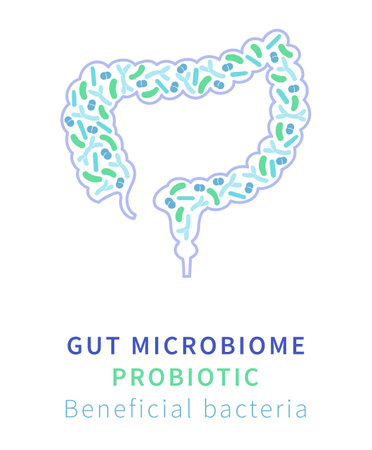 Gut Microbiome and Probiotics. Beneficial Bacteria for Digestive Healthのイラスト素材