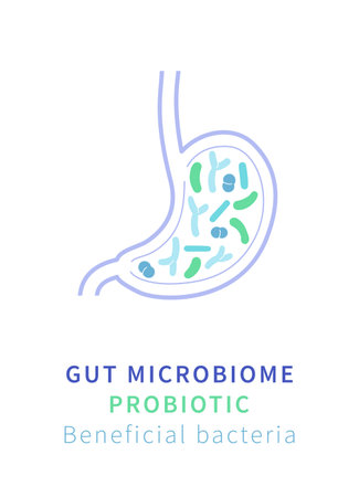 Gut Microbiome and Probiotics. Beneficial Bacteria for Digestive Healthのイラスト素材