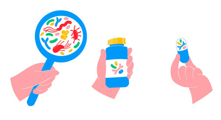 Illustration of Probiotics and Gut Microbiome - Gut Health Supportのイラスト素材