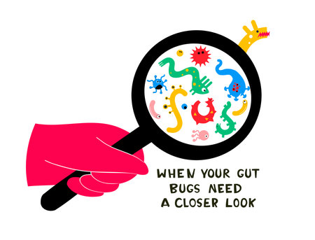 Illustration of Probiotics and Gut Microbiome - Gut Health Supportのイラスト素材