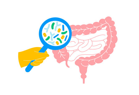 Illustration of Probiotics and Gut Microbiome - Gut Health Supportのイラスト素材