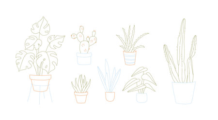 Doodle of Houseplants in Pots Line Art Monstera, Cactus, Aloeのイラスト素材