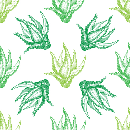 Pattern with aloe vera for decoration, vector illustrationのイラスト素材