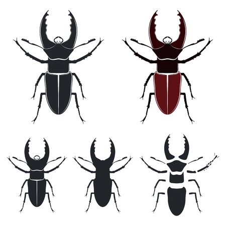 Beetle deer, vector illustrationのイラスト素材
