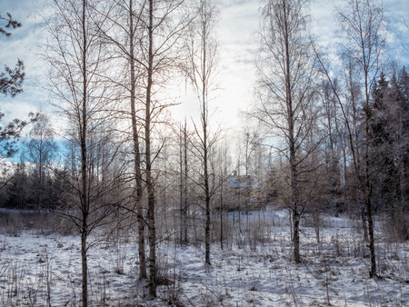 The house in the winter, snow forest, frosty morning.の写真素材