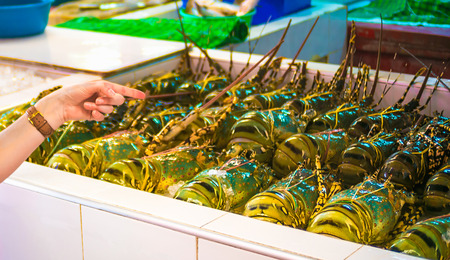 Fresh cooked lobster in the ice. Sea Food.の写真素材