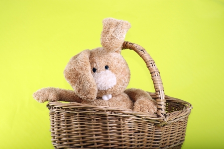 Easter rabbit in the basketの写真素材