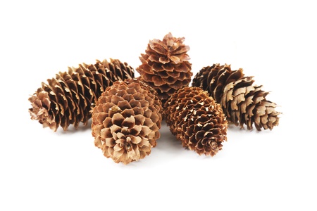 five fir-cones on whute surface