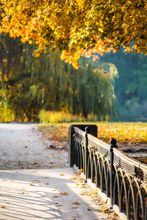 Autumn in parkの写真素材