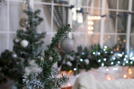 New Year interiorの写真素材