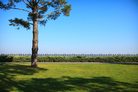 nature viewの写真素材