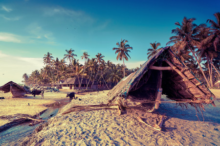 Traditional asian fishing boats in fishing village.の写真素材