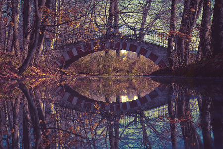 Autumn park landscape - small stoned bridge in the autumn park among the trees and dry leavesの写真素材