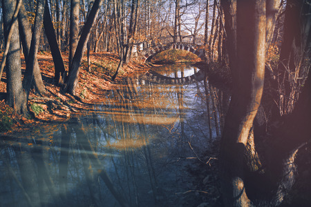 Autumn park landscape - small stoned bridge in the autumn park among the trees and dry leaves