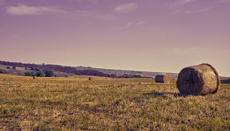 A Straw bales lie in a landscape with rose sky
