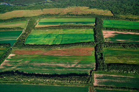 Aerial view of farm fields valley in the Kamchatka in Russia. Agricultural Landscape.の写真素材
