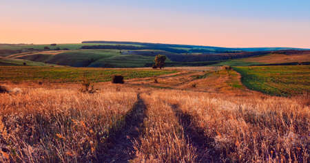 Panoramic landscape of central Russia agricultural countryside with hills and country road. Summer...