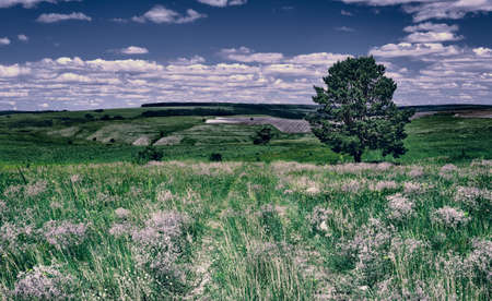 Panoramic landscape of central Russia agricultural countryside with hills and country road. Summer landscape of the Samara valleys. Russian countryside.の写真素材