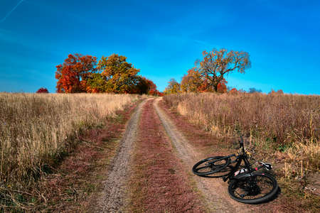 Outdoor cycling. Mountain bike in wild nature landscape background. Panoramic landscape of central Russia agricultural countryside with hill.の写真素材