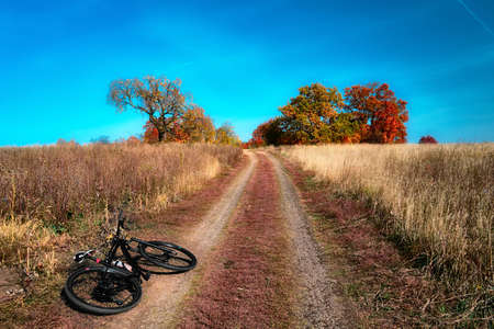 Outdoor cycling. Mountain bike in wild nature landscape background. Panoramic landscape of central Russia agricultural countryside with hill.の写真素材